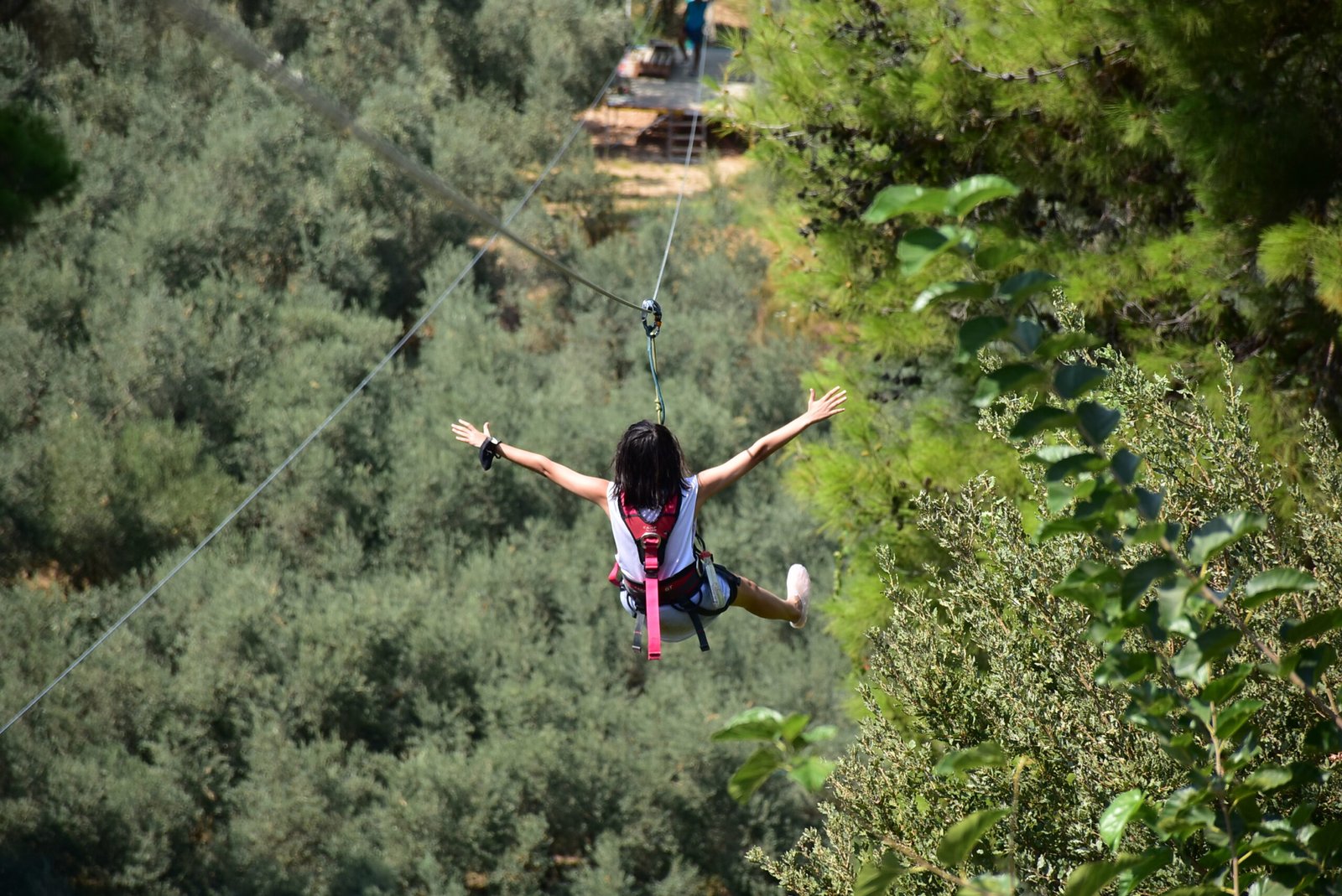 full-length-woman-with-arms-raised-against-trees